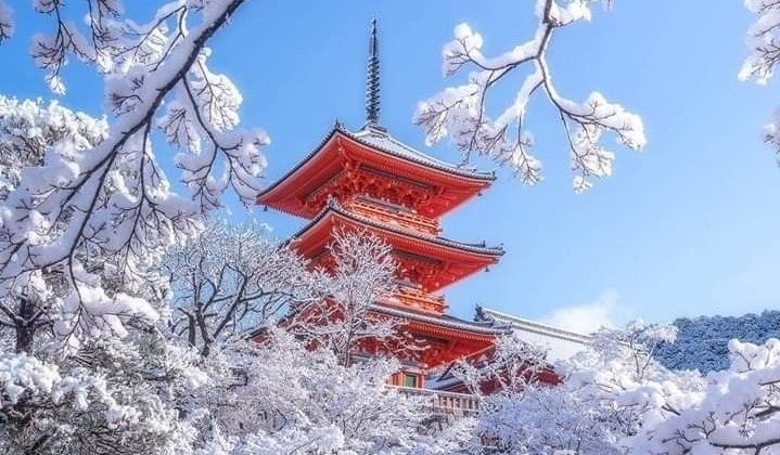 Japan In January January in Japan: When the Cold Lingers and Books Become Companions ...